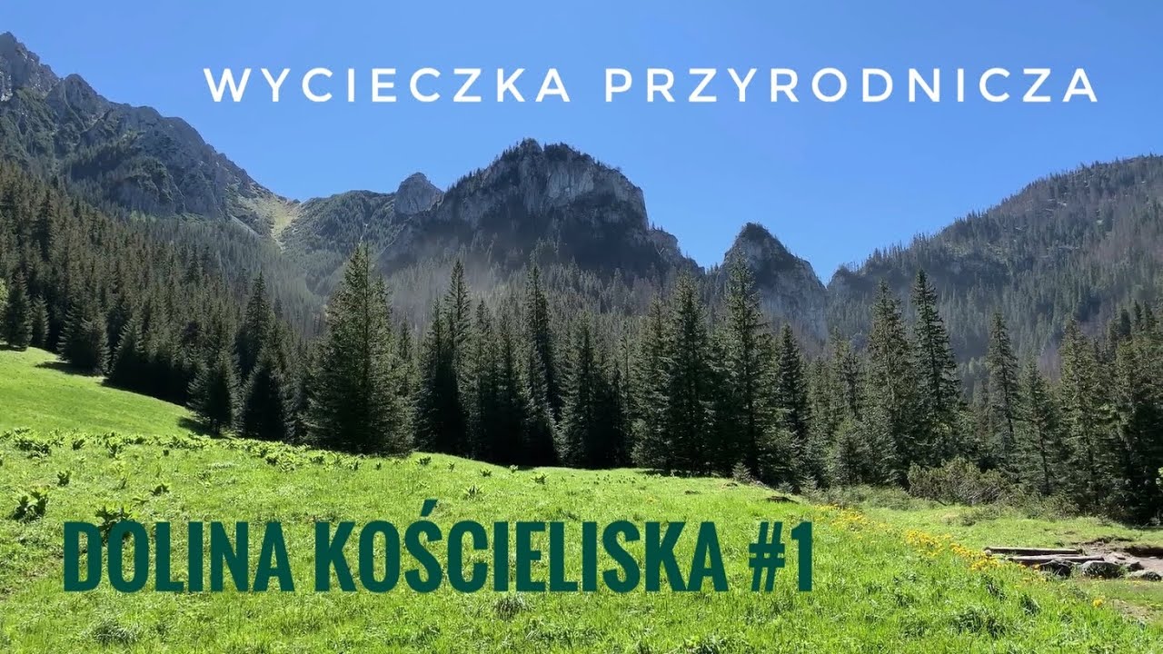 Wycieczka przyrodnicza do Doliny Kościeliskiej cz. 1