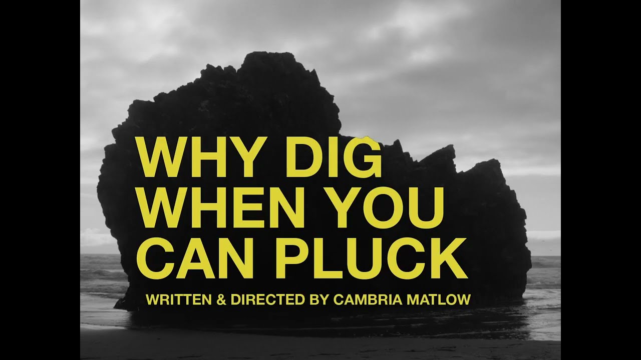 Why Dig When You Can Pluck - Trailer