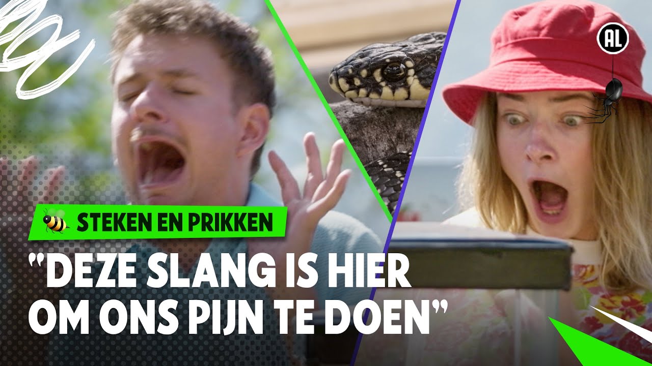 GEBETEN WORDEN DOOR AGRESSIEVE SLANG GAAT MIS!! 🐍🚑 | Steken en Prikken | S4 #3 | NPO Zapp