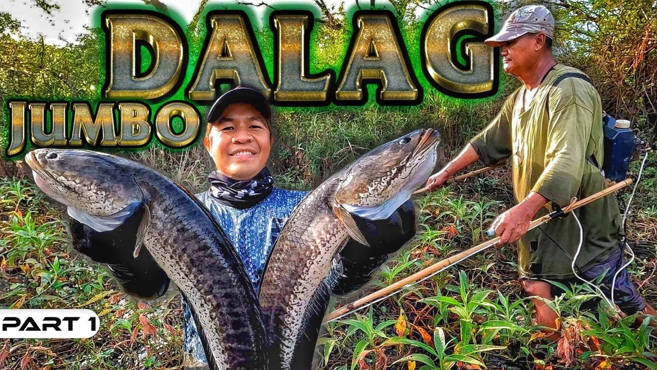 EP891-P1 - Electric Fishing in a Private Property