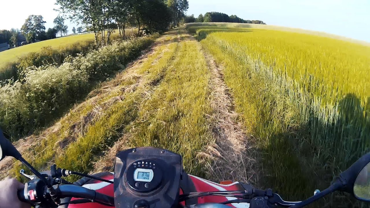 Aeon Cobra 180 - ATV quad