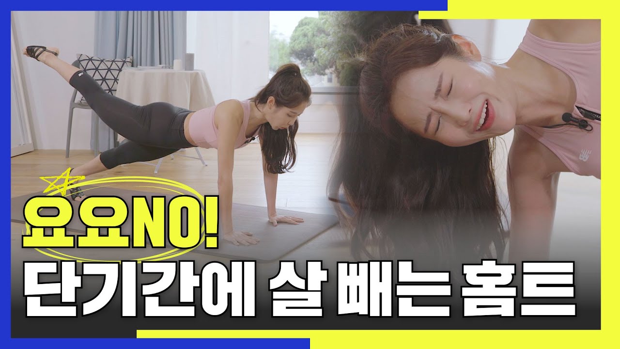 요요없이 단기간에 뺄 수 있는 홈트 [딩고PT] / 매번 요요현상 때문에 다이어트 포기각인 사람들 꼭 봐!!