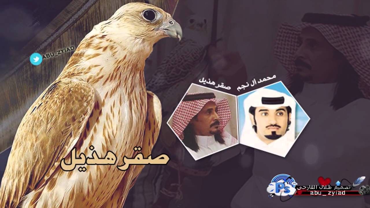 شيلة ابشرو بي كل مانادا المنادي كلمات :صقر هذيل{عبيدالله القارحي}آداء محمد آل نجم