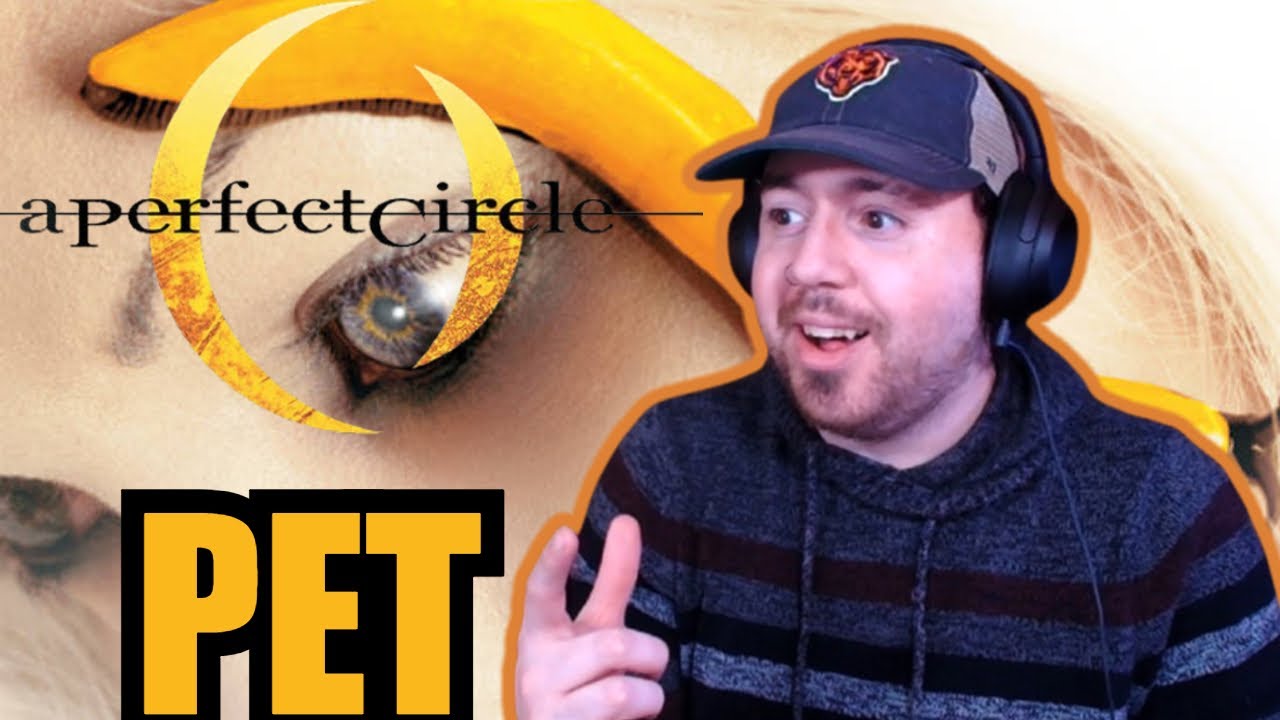This is my favorite song yet in this journey! A Perfect Circle 