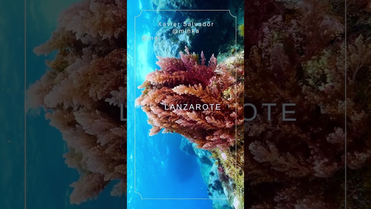 BIOBLITZ Citizen Science Day (MINKA) by Pharos Project