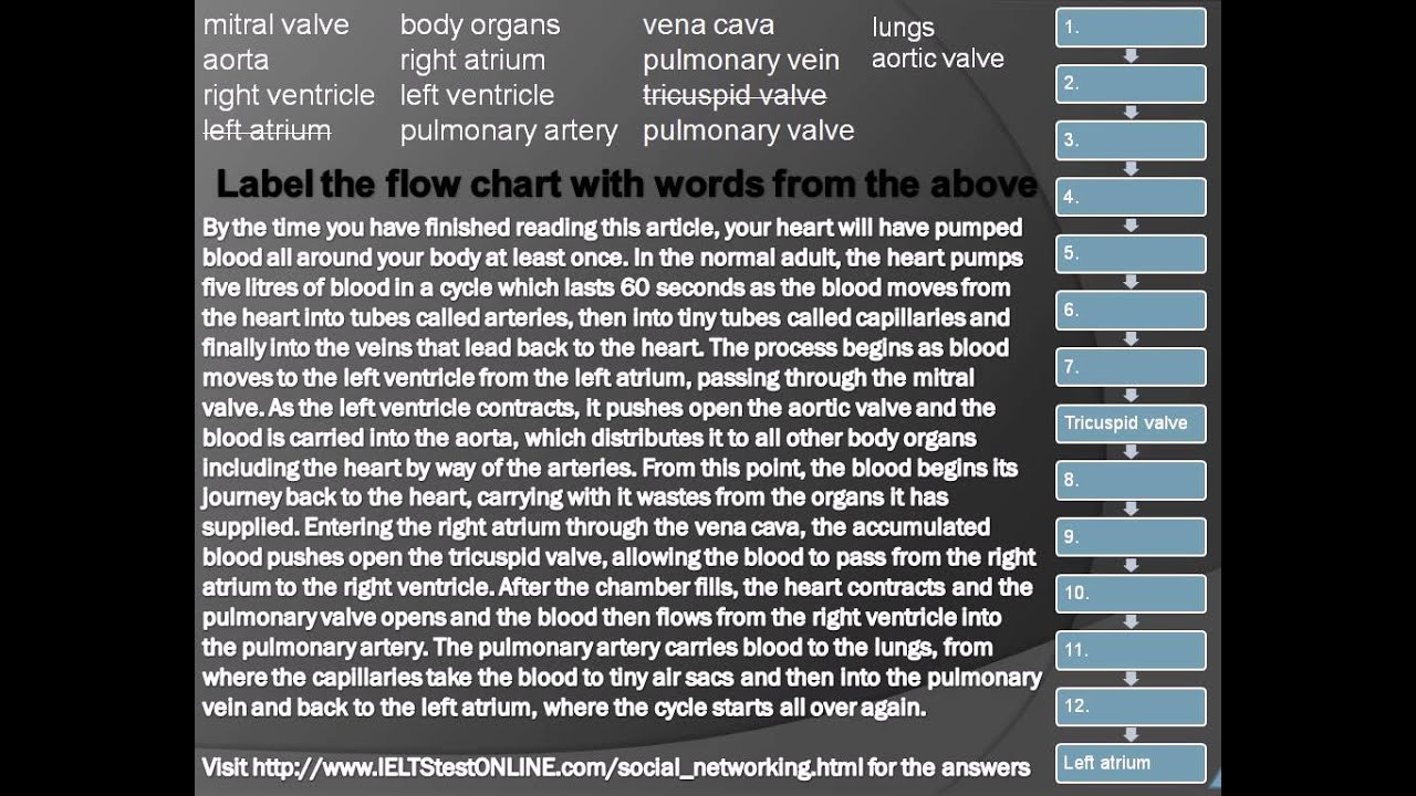 IELTS reading - labelling a flowchart