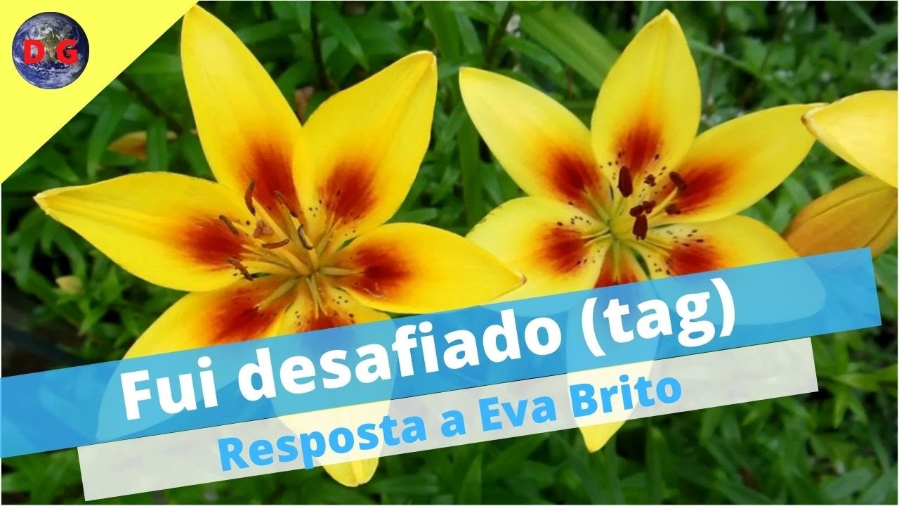 Fui desafiado (tag)