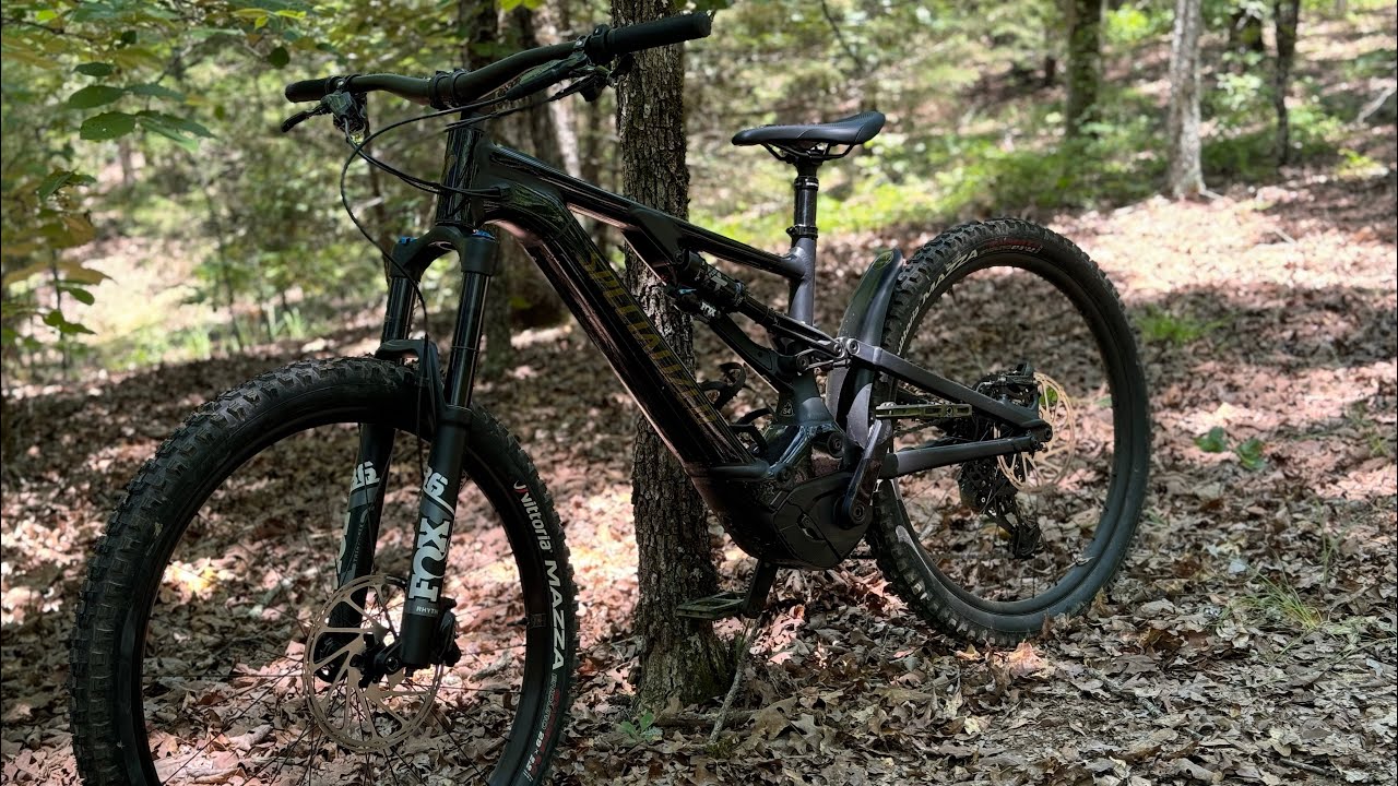 Specialized Turbo Levo Or The Trek Rail ?