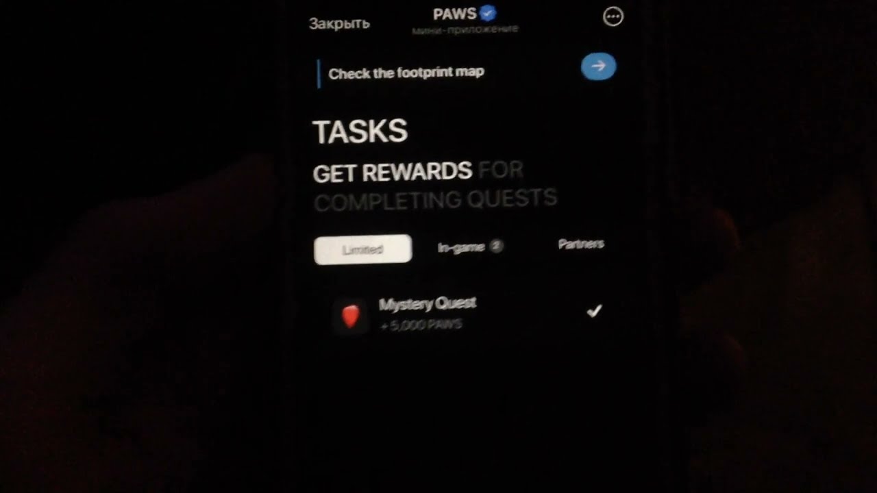 Paws New Task mystery quest как выполнить  заданные