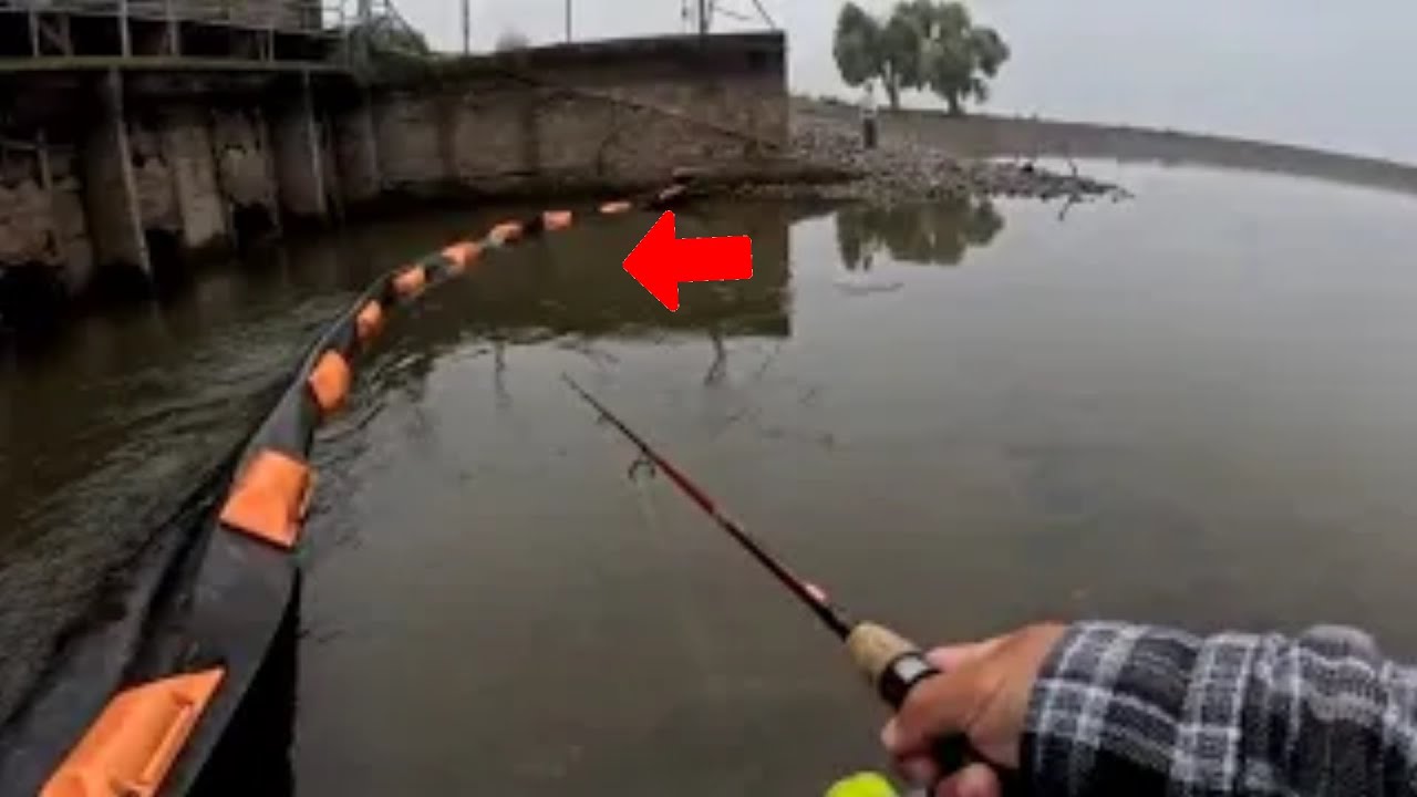 Fall Trout Fishing At Yosemite Lake November 24, 2025