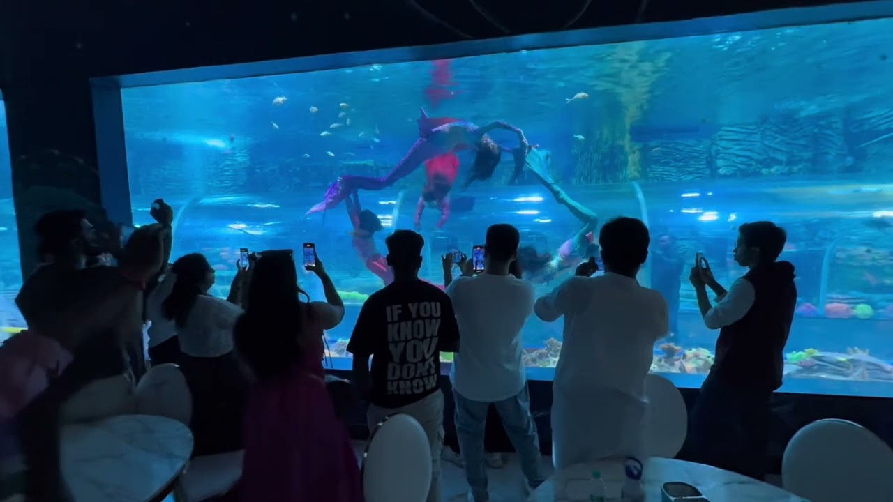 The first ever Filipina Mermaid Show in the biggest tank in Bangalore, India at Aquarium Paradise