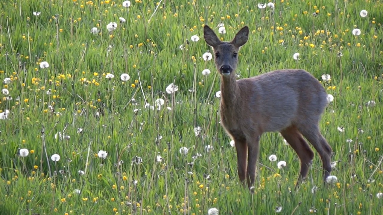 Mooie momenten in de lente!