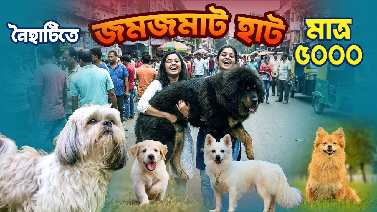 কলকাতার সবথেকেও সস্তা ডগ মার্কেট! 🐕 এতো কমে  বিশ্বাস হবে না! 😱