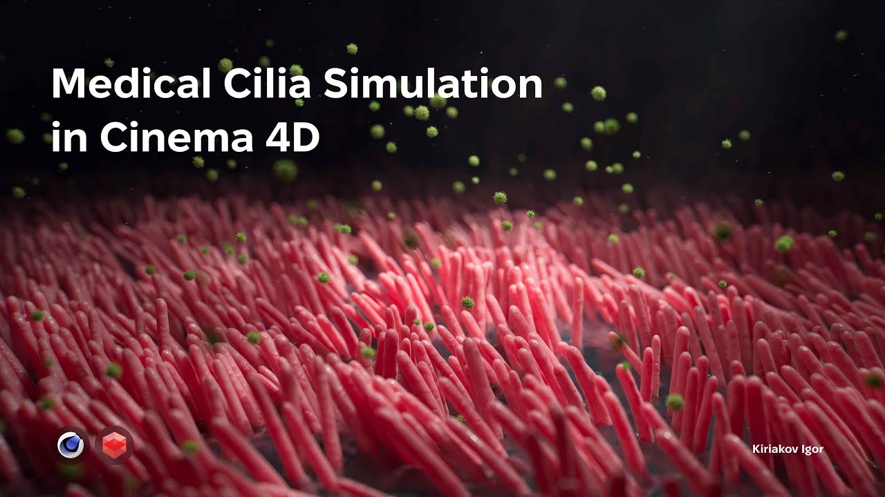 Medical Animation in Cinema 4D: Creating Cilia Simulation
