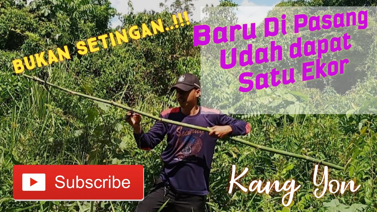 Cara Memasang dan Melepas Jaring Burung