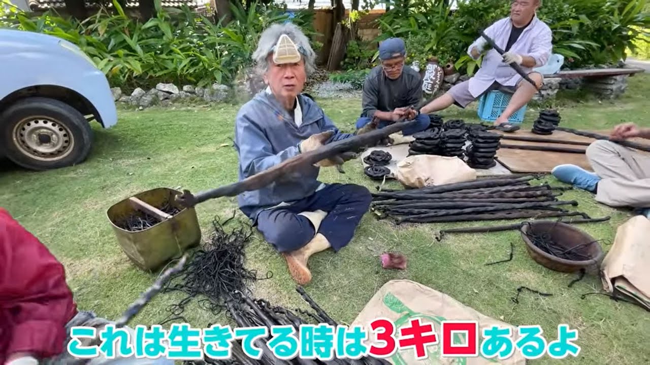 神の島「久高島」で高級海ヘビ（イラブー）の燻製中に遭遇