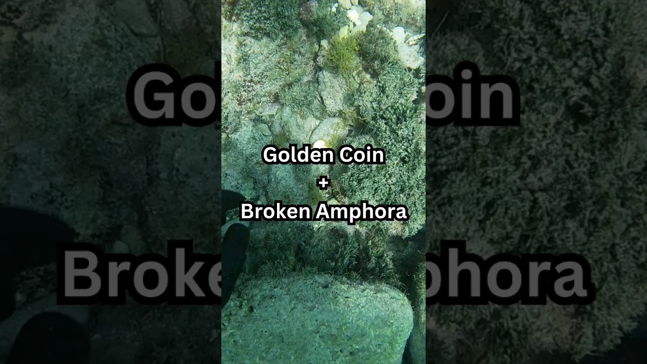Golden coin 🪙 + Amphora 🏺#savetheocean #oceancleanup #conservation #ocean #sea #diving #fish #gopro