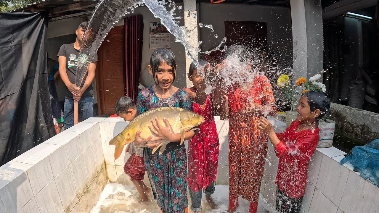 Mega Aquarium Fish Tank Cleaning by Shampoo Catching Big Colourfast, Tortoise