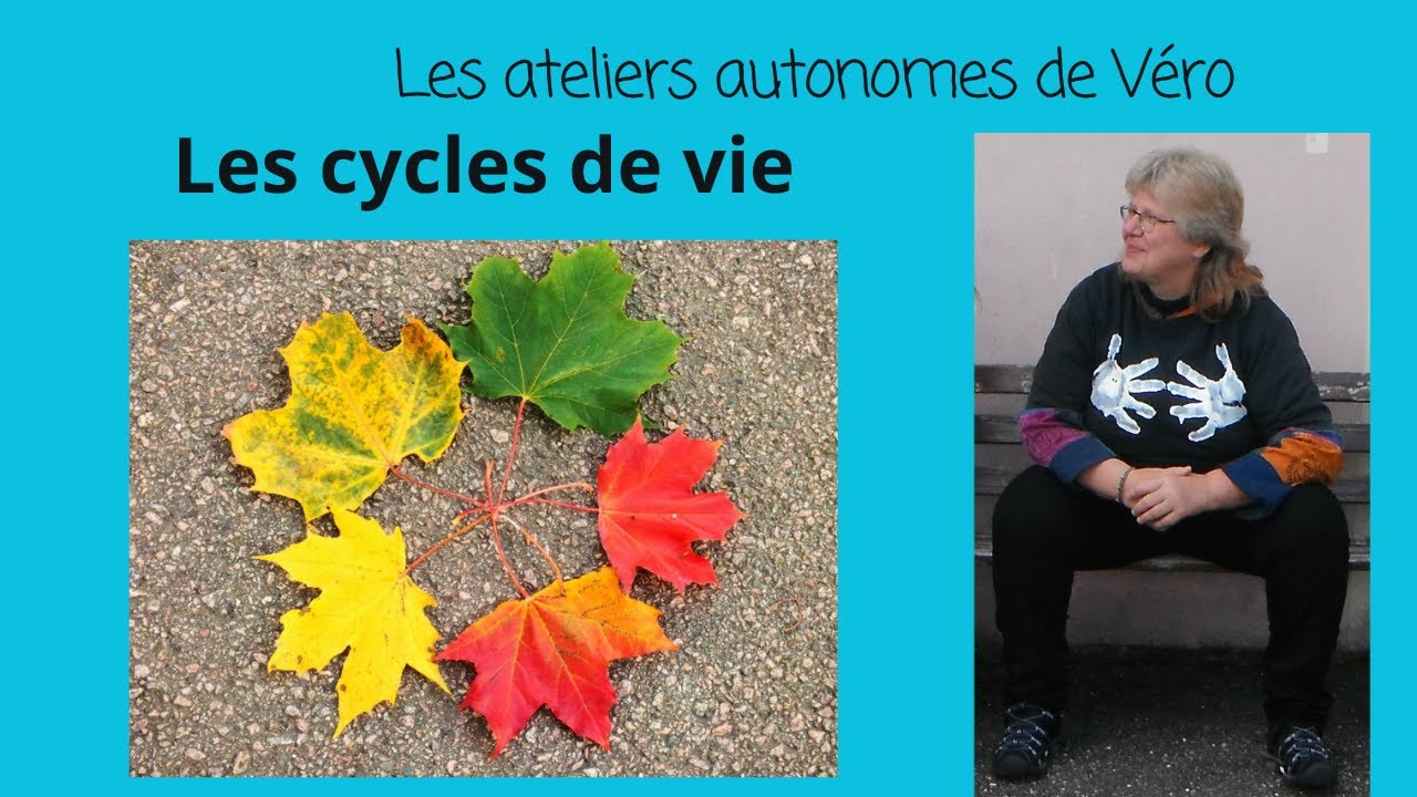 Les cycles de Vie