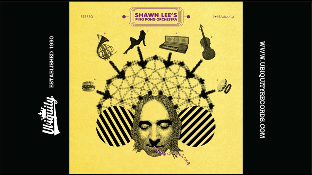 Shawn Lee's Ping Pong Orchestra: JW