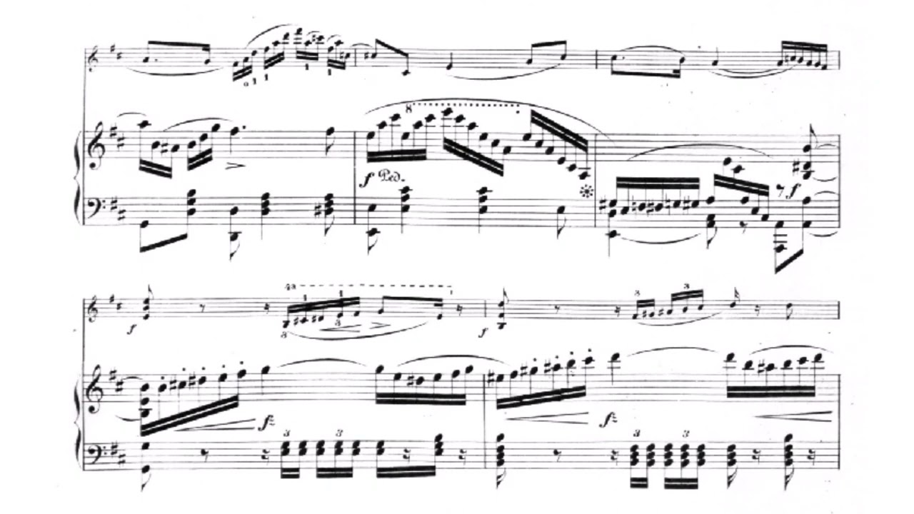 Ferdinand David - Salon Duet for violin and piano Op. 25 (VIDEO REQUEST)