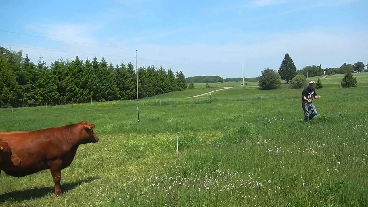 New Pasture Every Day- It's Easy!!