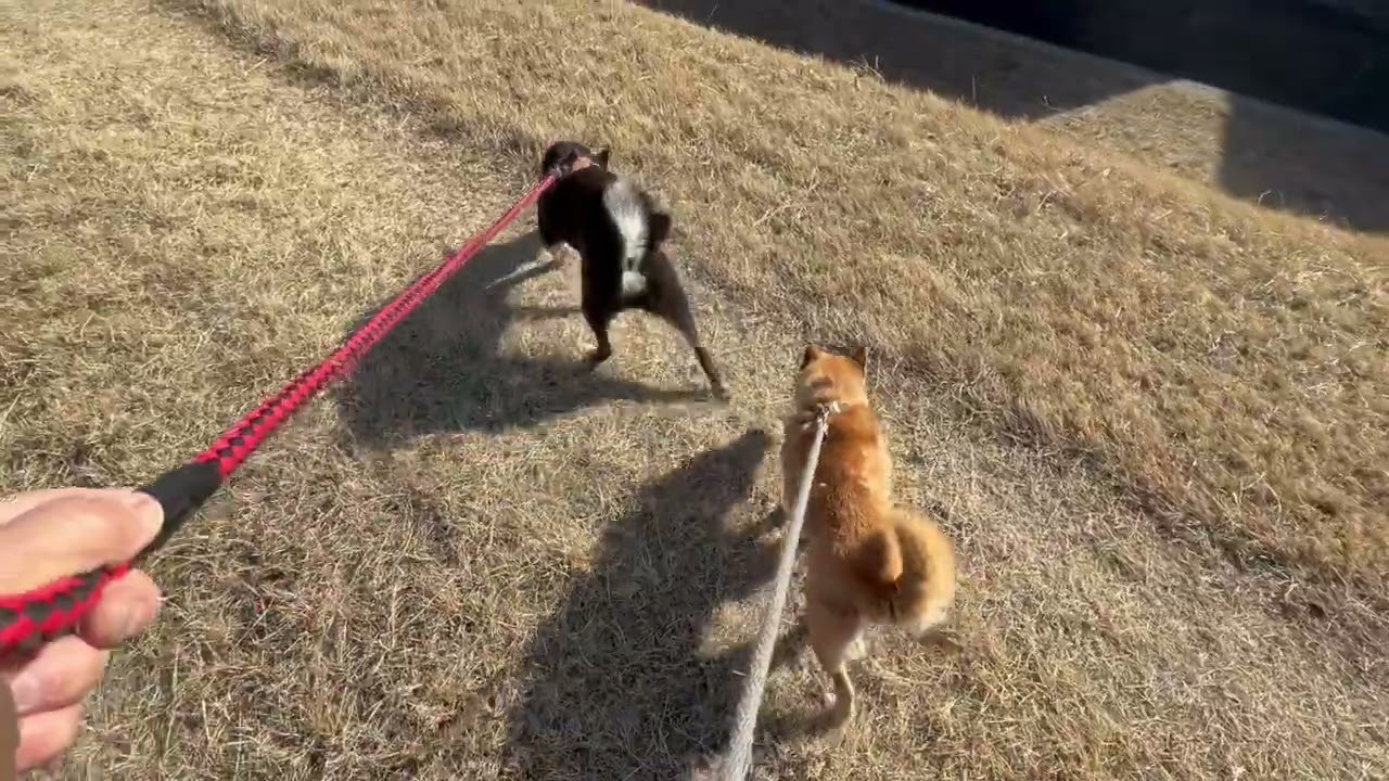 笛吹川散歩