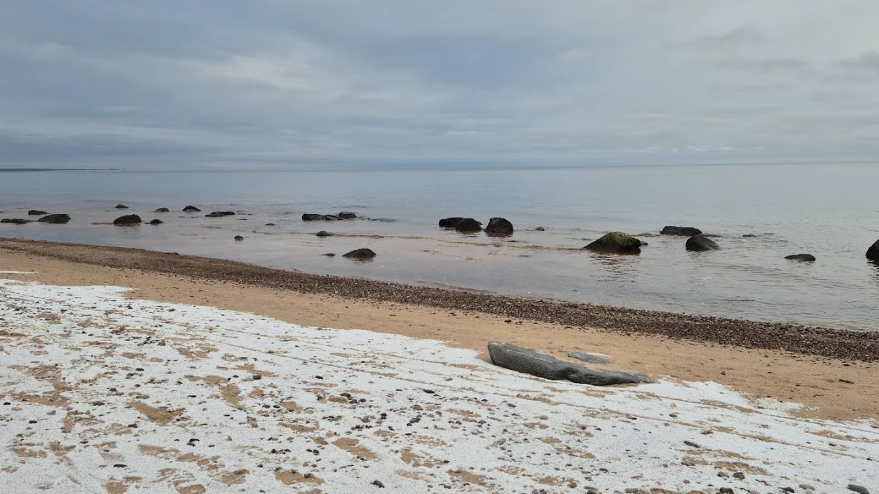 LIVE: Snowy Winter Ocean ❄️ 12 Hours Cold Beach Waves for Sleep | USA (4K)