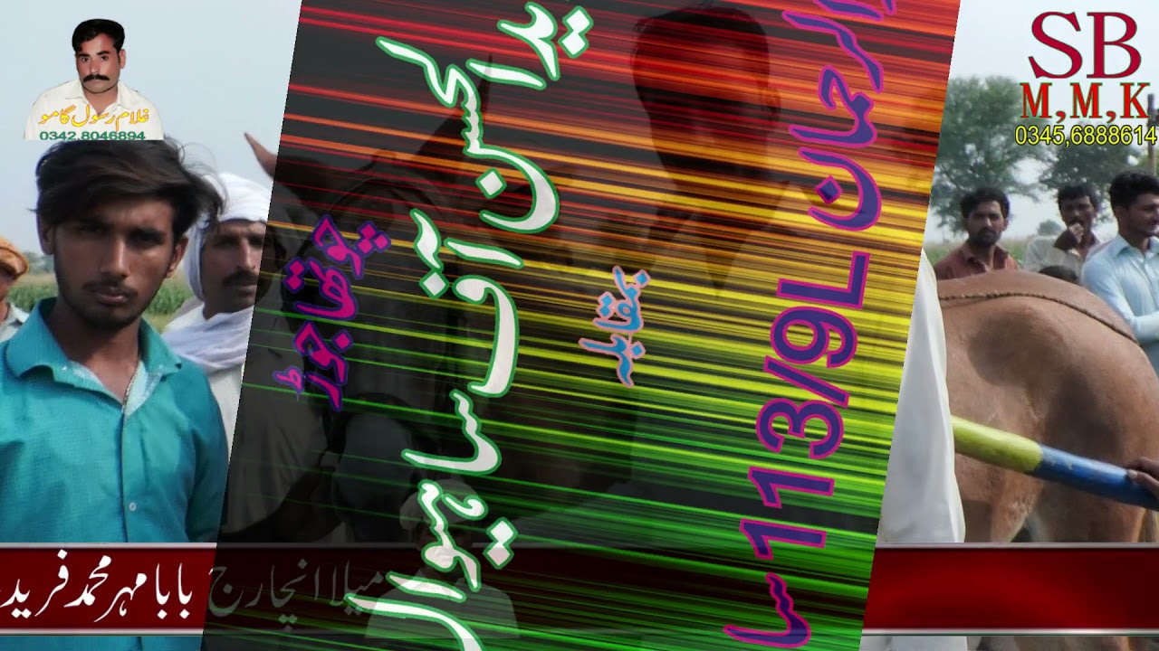 Khachar dor in Ghulam Rasool gamo 03428046894in sunny baba movie 03456888614 mohal saref mosa kahan