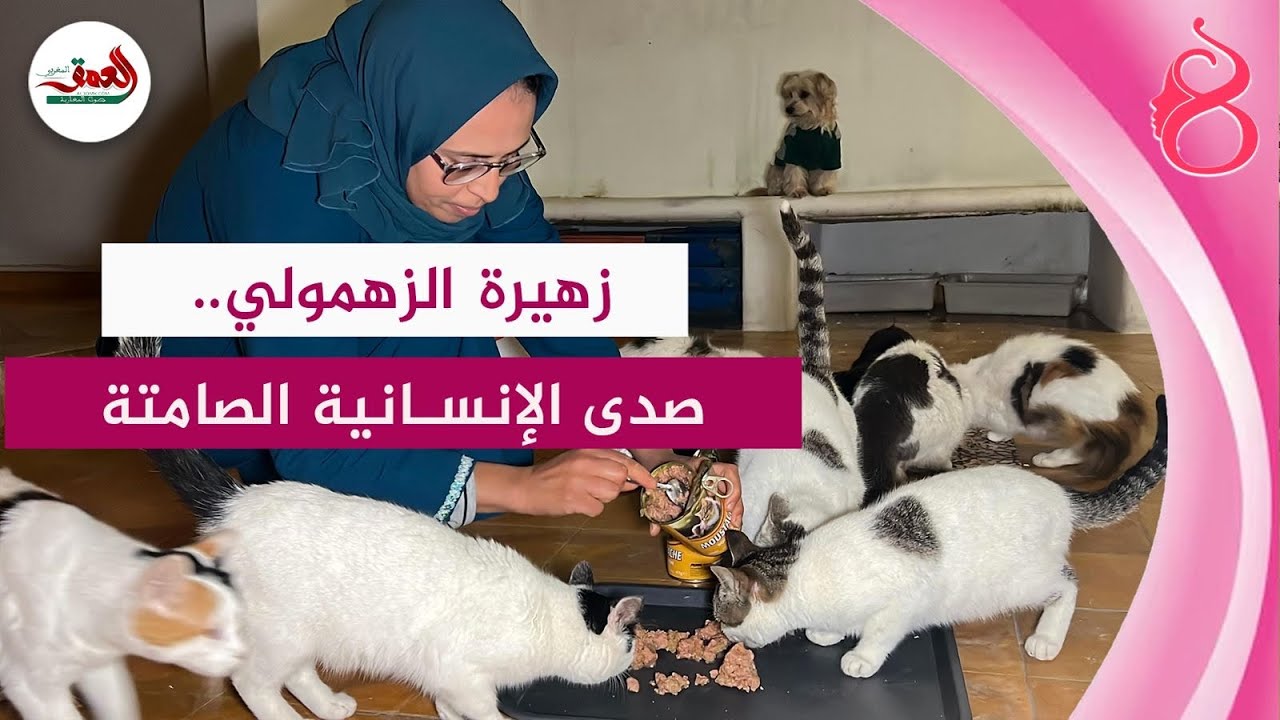 زهيرة الزهمولي .. أيقونة الرفق بالقطط والكلاب الضالة بأزمور في يوم المرأة العالمي