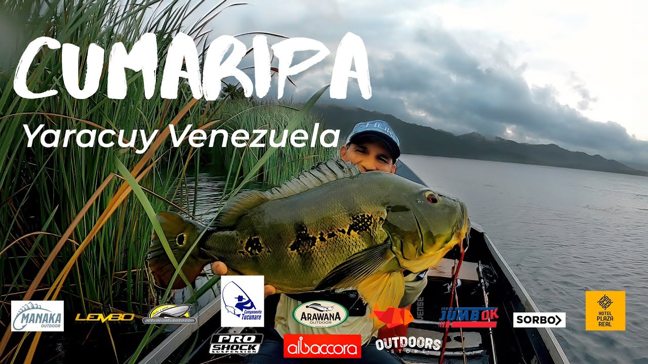¡SORPRESA EN CUMARIPA!, pesca de pavón