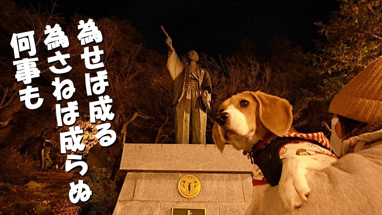 ビーグル犬とパワースポット巡り　～山形県米沢 上杉神社～
