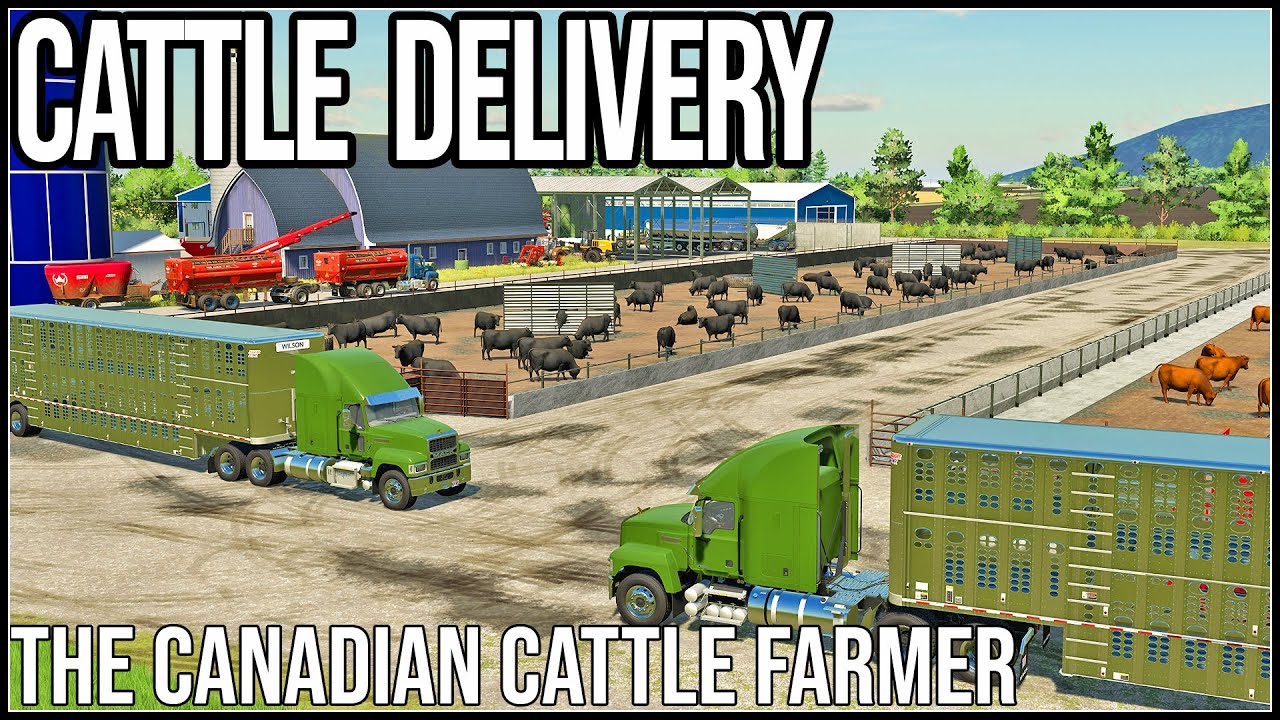 CATTLE DELIVERY - The Canadian Cattle Farmer - Episode 25