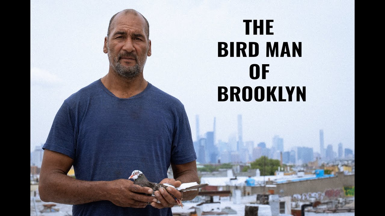 The Birdman of Brooklyn