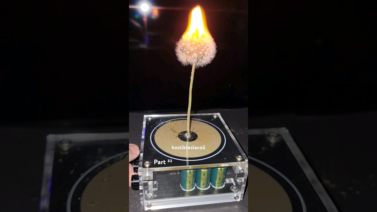 Flower 😍 Music Tesla Coil #shorts