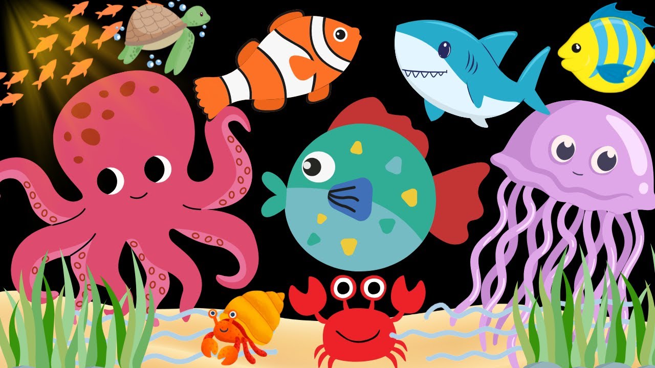 Ocean Friends Adventure Baby Sensory Video with High Contrast Visual Tracking and soothing sounds