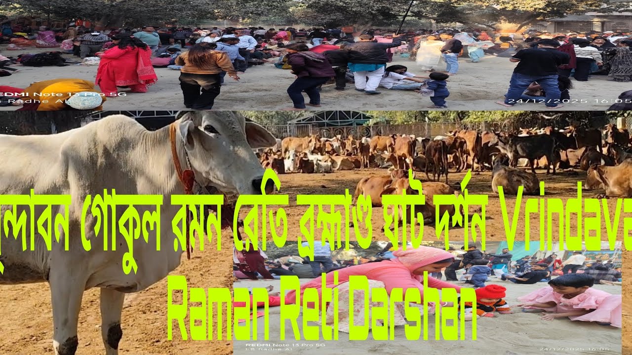 বৃন্দাবন গোকুল রমন রেতি ও ব্রহ্মাণ্ড ঘাট পুতনা বধ 84 খাম্বা চিন্তাহারি মহাদেব দর্শন Vrindavan Gokul