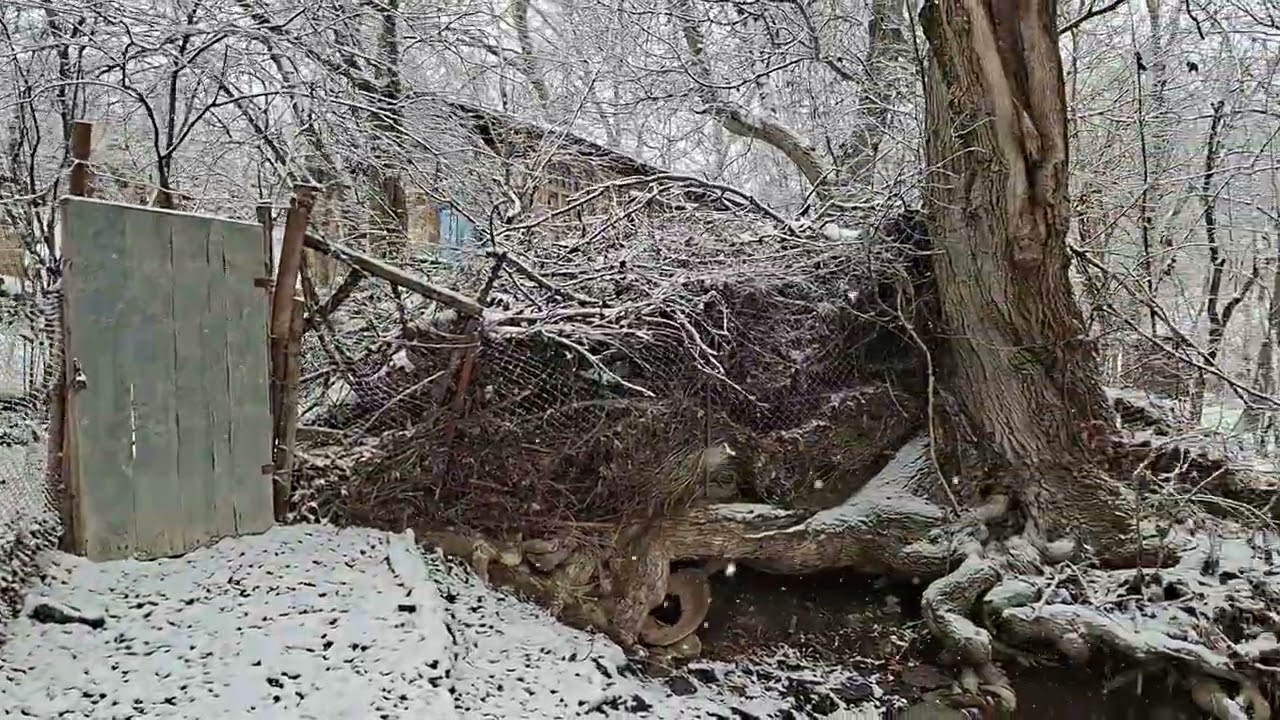 8 Mart gəzintisi
