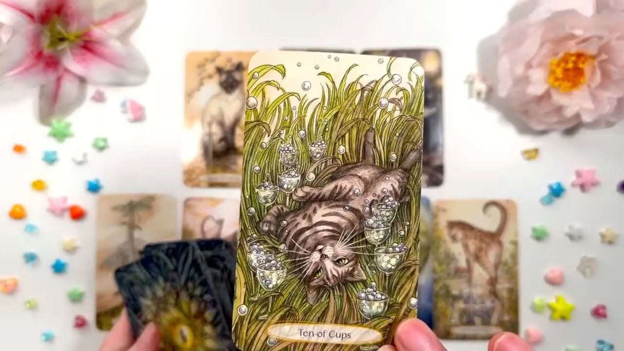 LIBRA😍PREP&Aacute;RATE! ALGUIEN TE CONFIESA UNA GRAN VERDAD! CAMBIOS YA! HOROSCOPO #LIBRA HOY TAROT AMOR