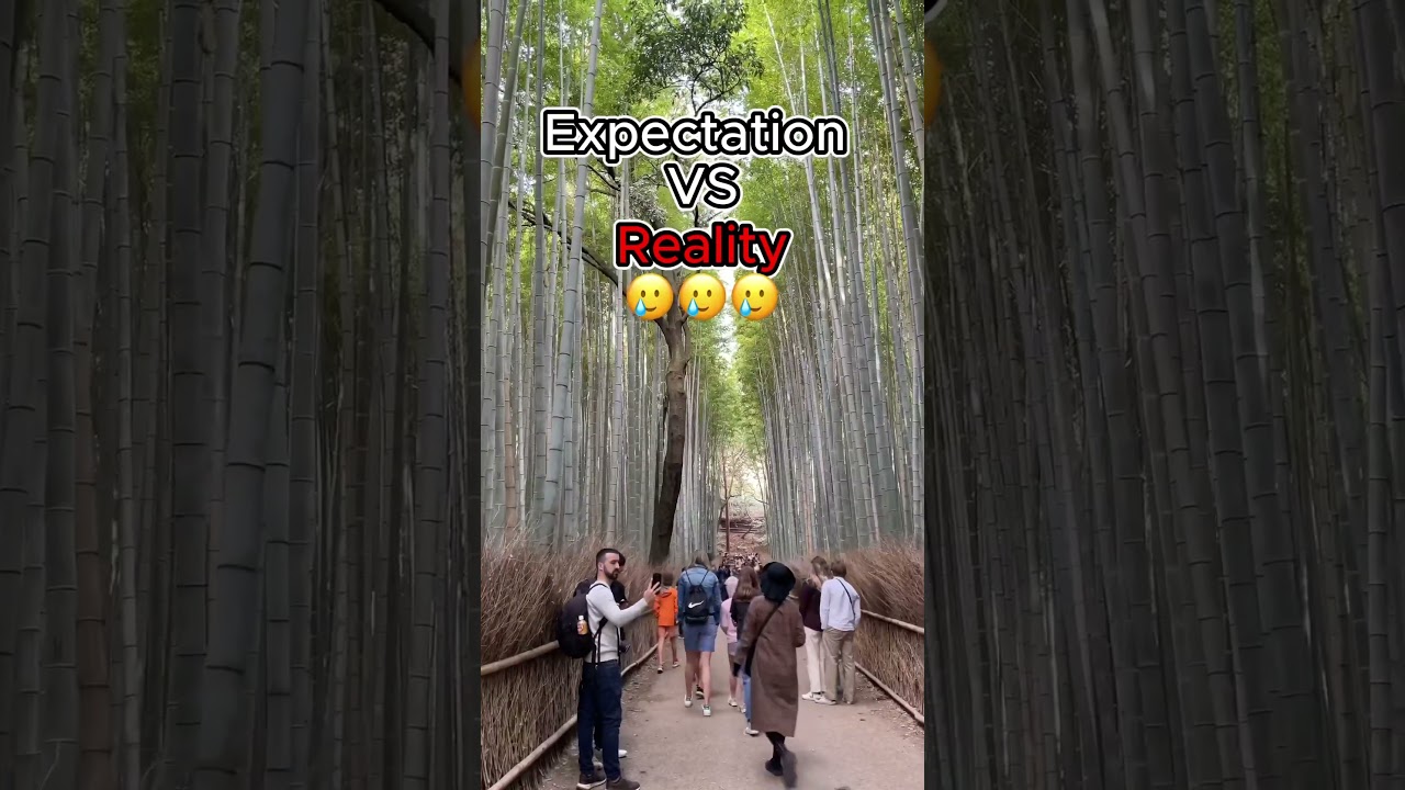 Expectations VS Reality - Japan Kyoto Arashiyama Bamboo Forest | 京都 #shorts #solotravel