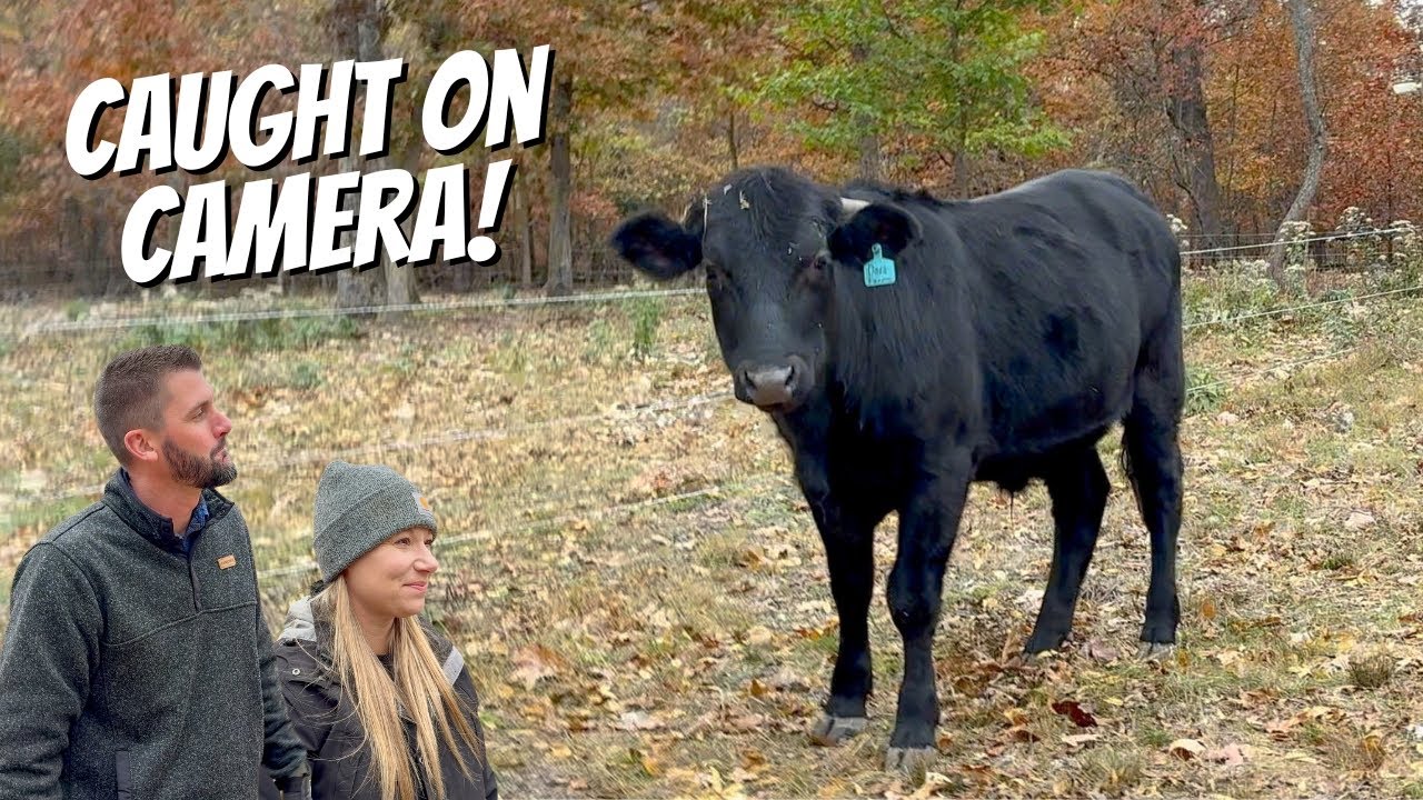 СРОЧНО! Нам пришлось спешить домой!