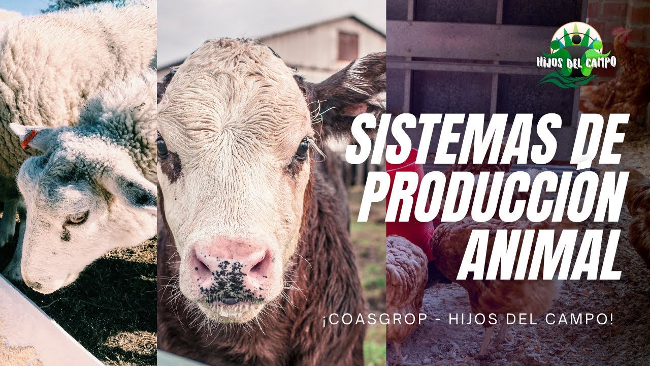 SISTEMAS DE PRODUCCION ANIMAL