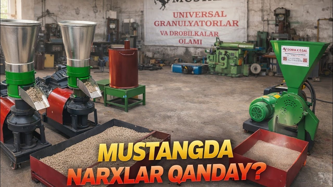 Mustangda ish jarayonlari haqida