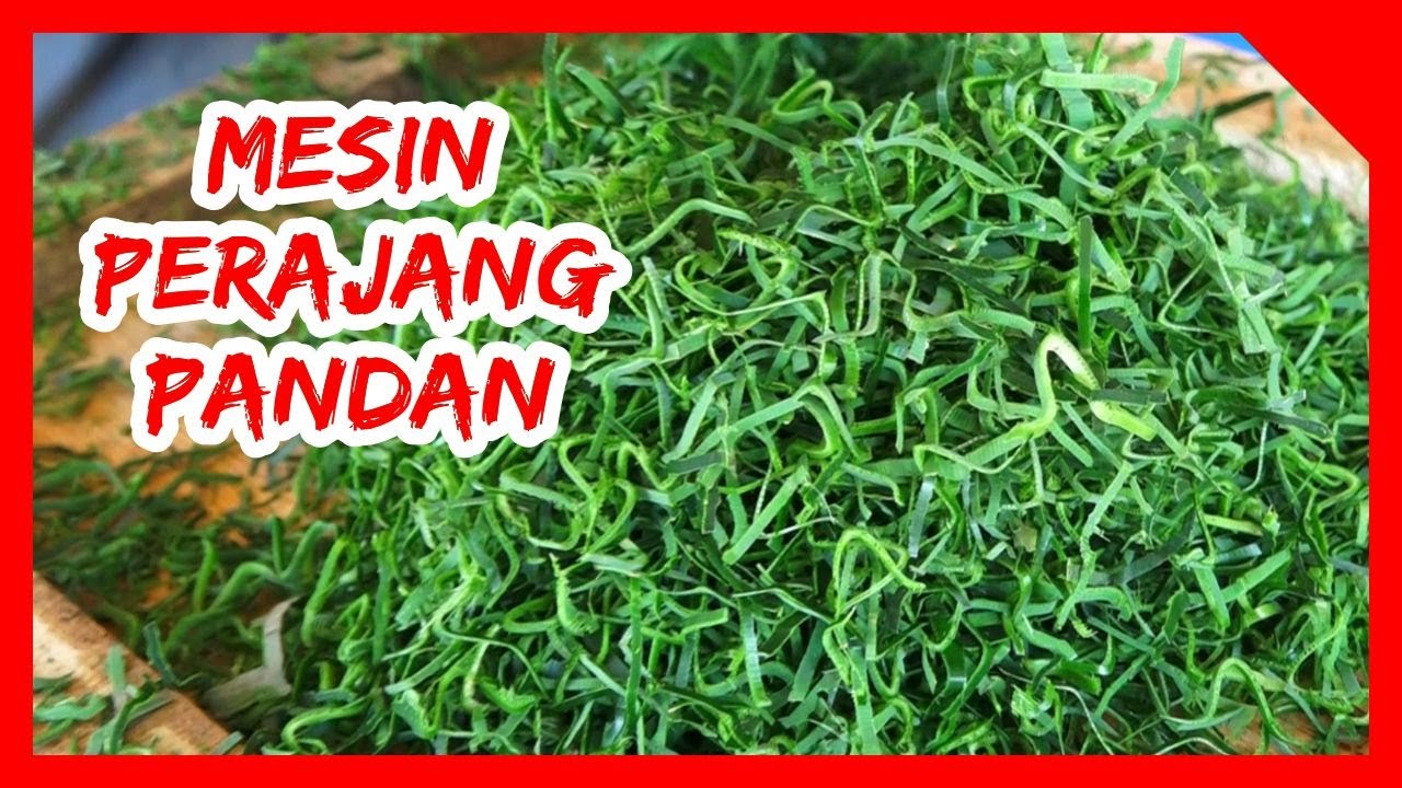 MESIN PERAJANG PANDAN !! HASIL RAJANGAN YANG MEMUASKAN DAN HARGA MESIN SANGAT TERJANGKAU !!