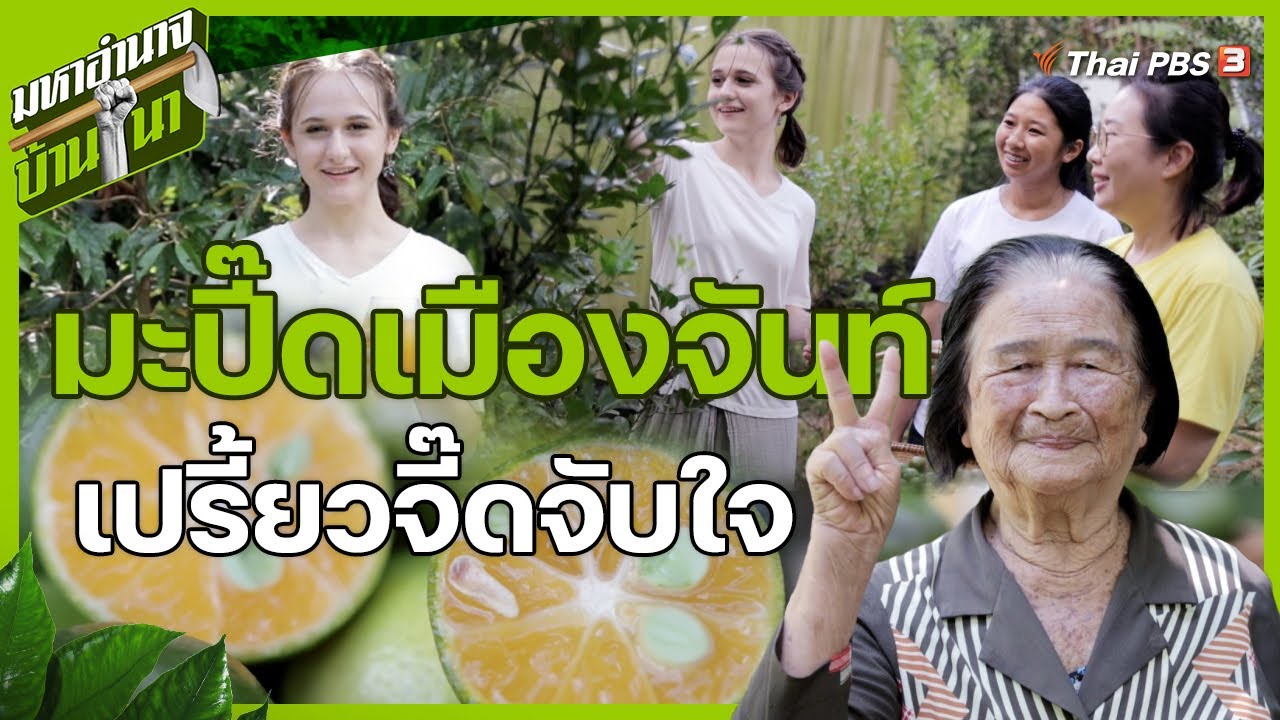 มะปี๊ดเมืองจันท์ เปรี้ยวจี๊ดจับใจ | มหาอำนาจบ้านนา
