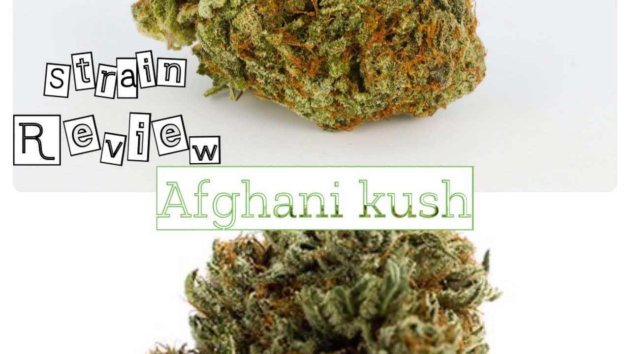 Strain Review | Afghani Kush