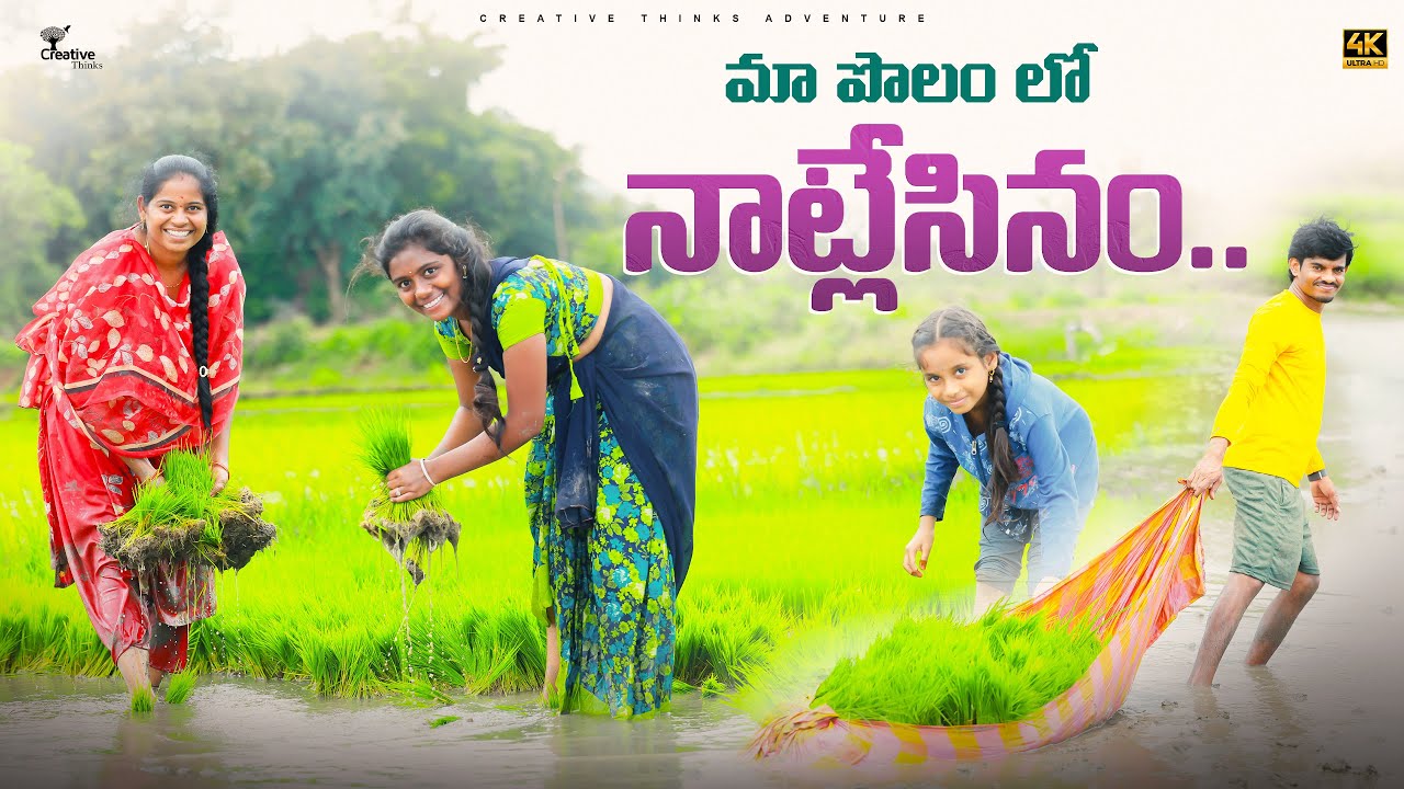Our team Village farming video 😘| 4K | Shree Videos