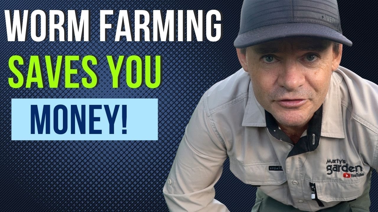 Worm Farming Will Save You Money & Become More Self Sufficient