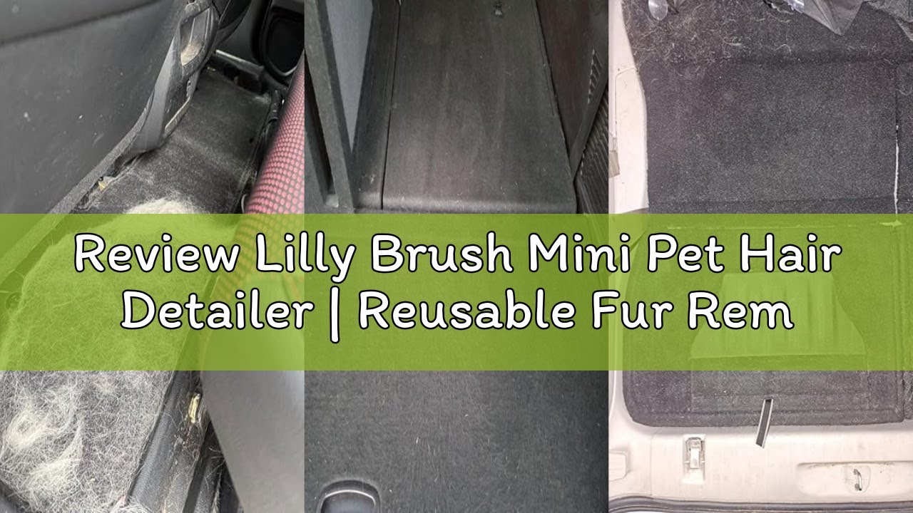 Review Lilly Brush Mini Pet Hair Detailer | Reusable Fur Remover for Car Interior, Carpet, Couch & F