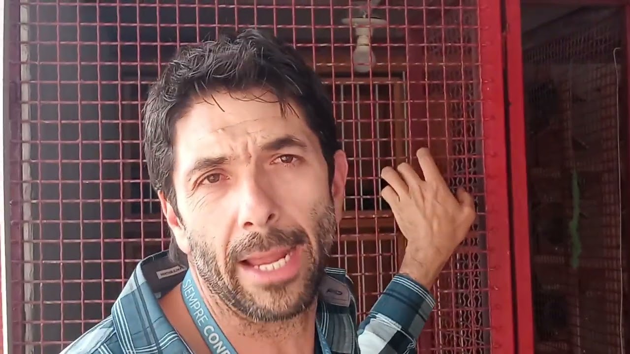 colombofilia De Guadalajara. Salvador Lopez Vergara#5